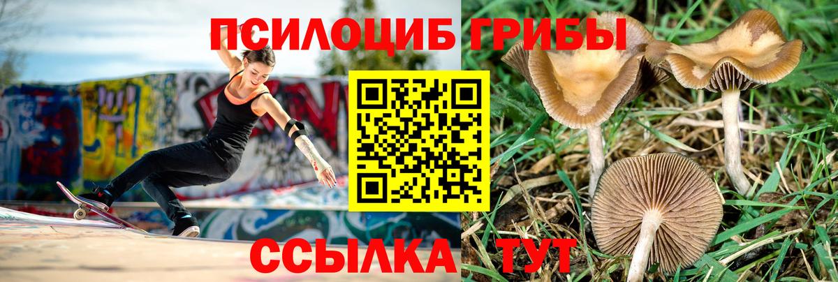 Галлюциногенные грибы мицелий  как найти закладки  Нефтекамск  Вход с VPN 