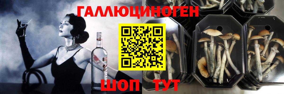 Псилоцибиновые грибы Magic Shrooms Нефтекамск